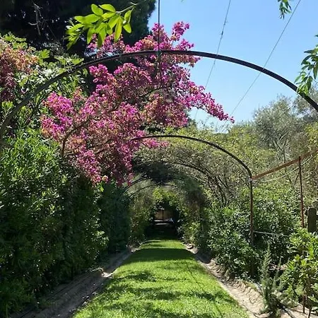 Villa Mas Llavaneres San Andrés de Llevaneras